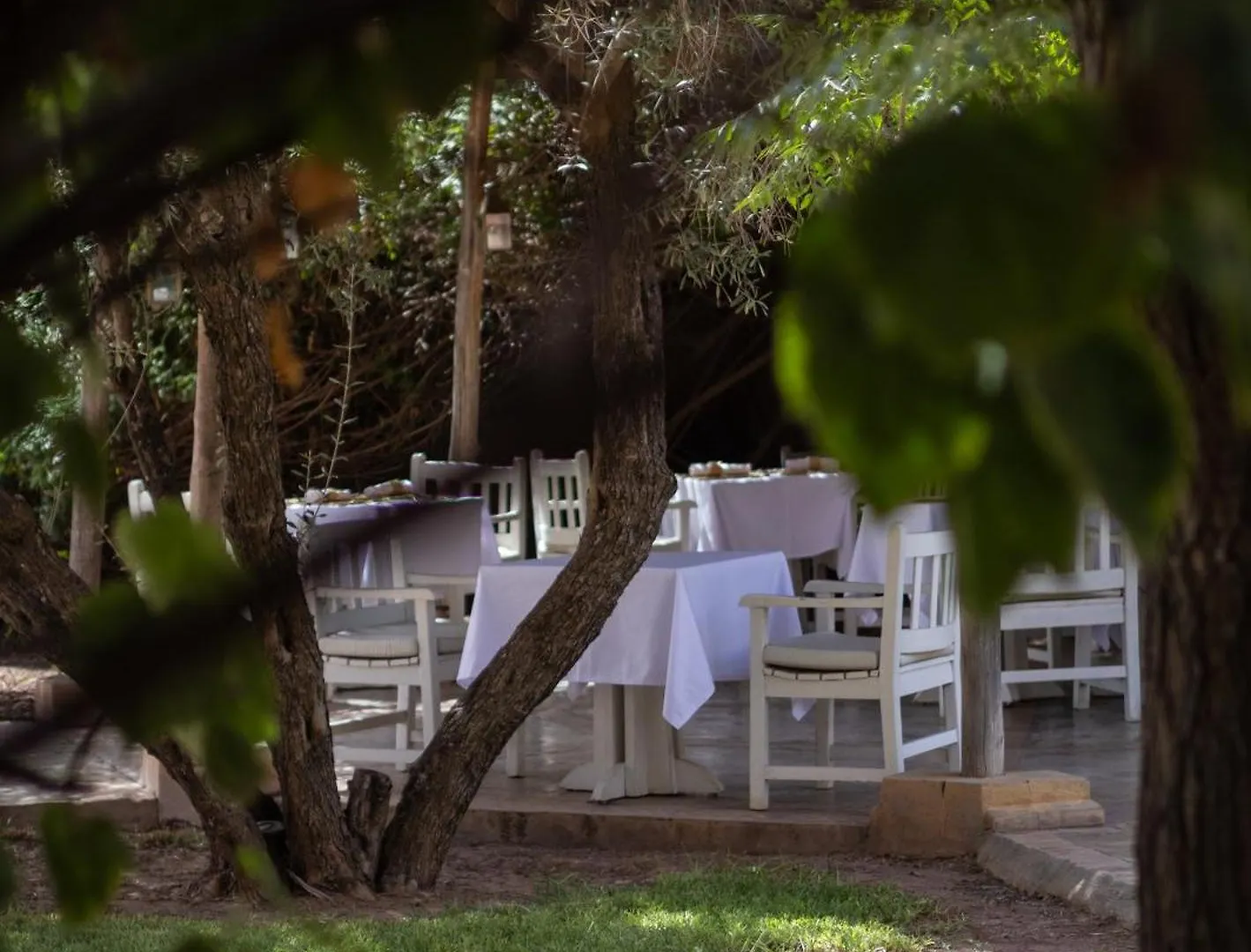 Villa Al Assala Palmeraie 마라케시 모로코